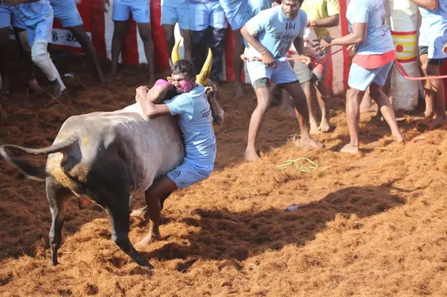 அலங்காநல்லூர் ஜல்லிக்கட்டு