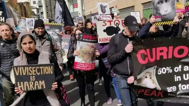 Мара веганлик тўғрисида фильм томоша қилиши ортидан гўшт ейишни тўхтатган.