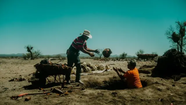 Las piñas se cuecen en rudimentarios hornos construidos a ras de suelo.