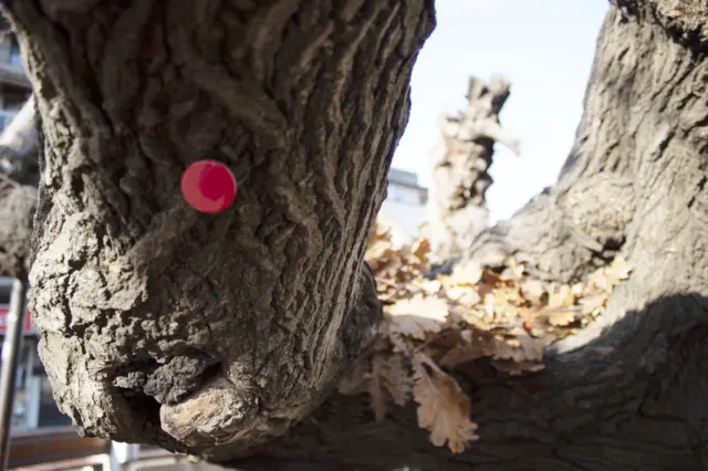 Smederevo zagađenje vazduha