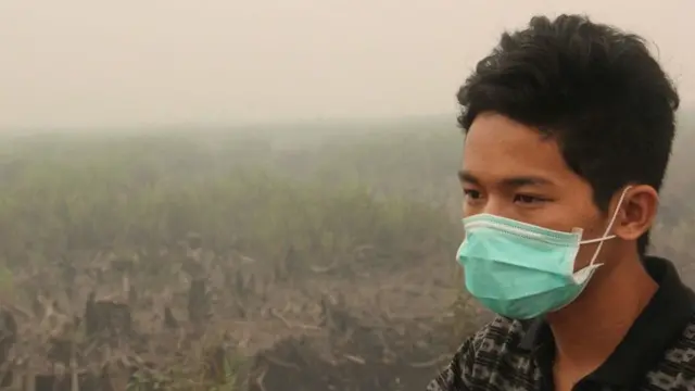 Kabut asap, Indonesia