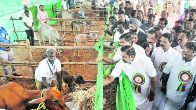 எடப்பாடி பழனிசாமி