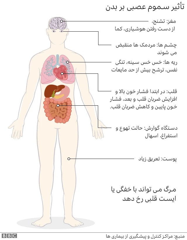 تأثیر سموم عصبی بر بدن