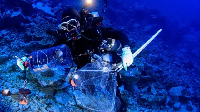 Buzo en las aguas de la Isla de Pascua