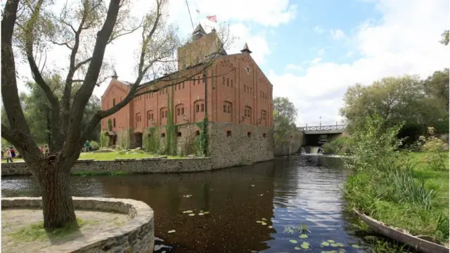 Історико-культурний комплекс "Замок Радомишль" - у декларації кандидата в президенти Ольги Богомолець