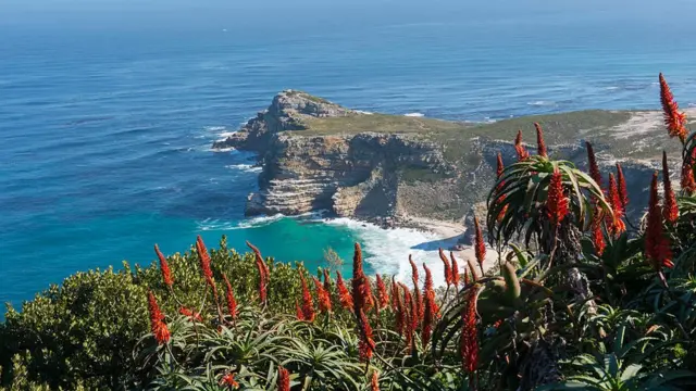 Вид на мис Доброї надії