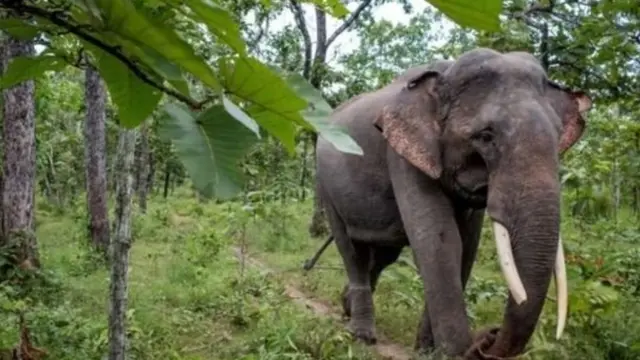 கோப்புப் படம்