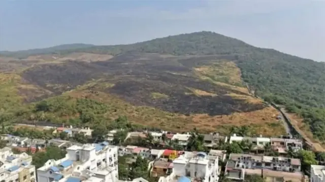 आरे कॉलनी