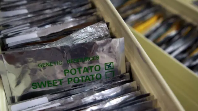 Пакетики з насінням