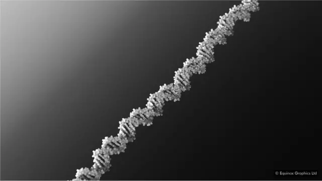 ДНК лежить в основі майже кожної живої істоти