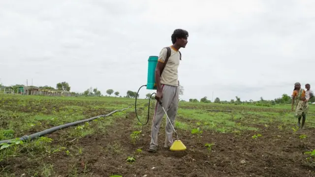 மருந்து அடிப்பவர்