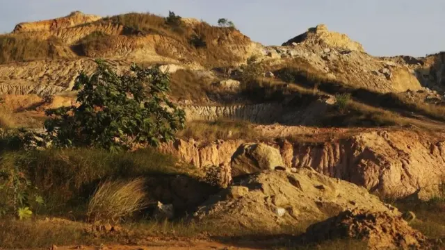 การตัดไม้ทำลายป่า เป็นหนึ่งในปัจจัยที่เกี่ยวข้องกับการแพร่ระบาดของการติดเชื้อ