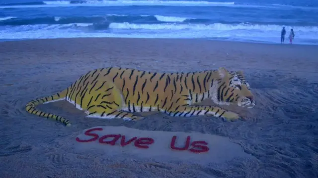 বিশ্বব্যাপী বাঘ রক্ষায় সচেতনতা তৈরীতেই এ দিবস পালন করা হয়