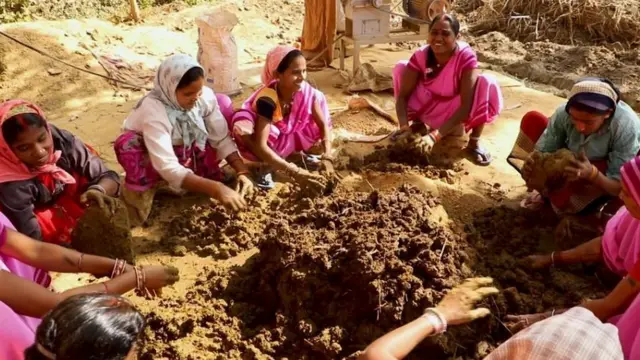 गोबार ख़रीदेगी छत्तीसगढ़ सरकार, गोमूत्र ख़रीदी