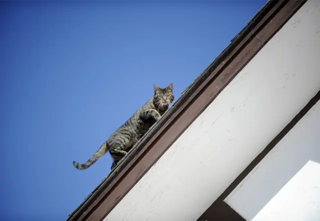 Кышында бөлмөнү жылуу кармаш үчүн мүмкүн болсо үйүңүздүн эшик-терезесин, чатырын жылуулаган оң болот.