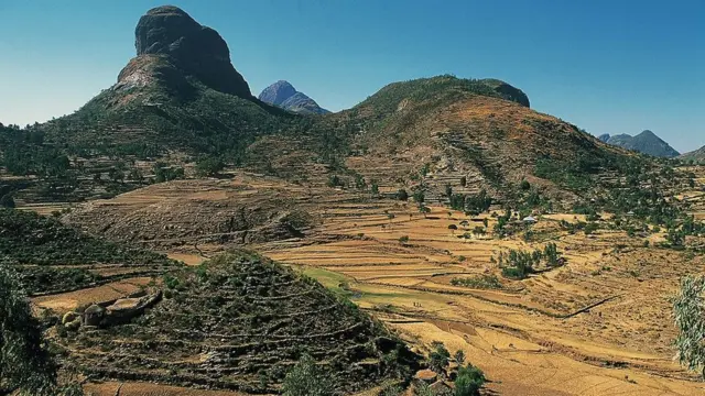 Gaarreen Aduwaa, Tigraay