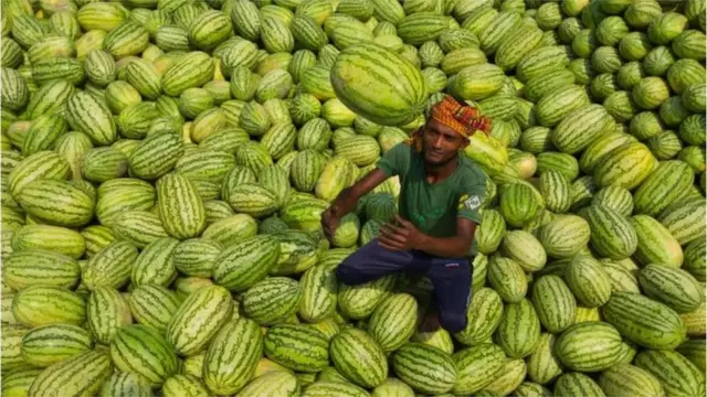 আবহাওয়া বিবেচনায় রেখে চাষাবাদ করলে কৃষকের আয় ৩০ শতাংশ পর্যন্ত বাড়তে পারে বলে গবেষণায় দেখা গেছে