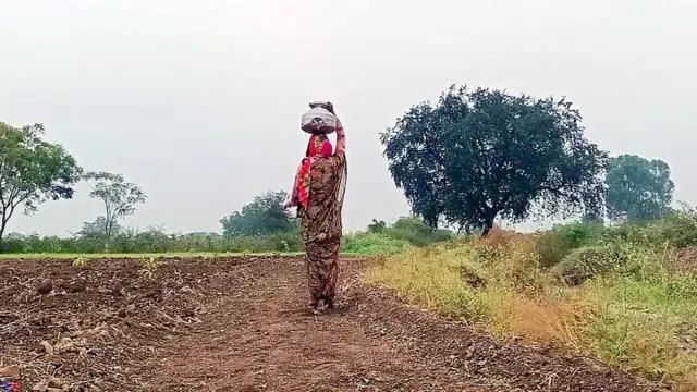 वीज, शेतकरी, महाराष्ट्र