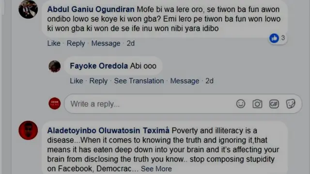 Ero araalu lori see and buy