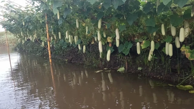 Agriculture Sri Lanka