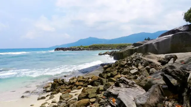 Острів скарбів