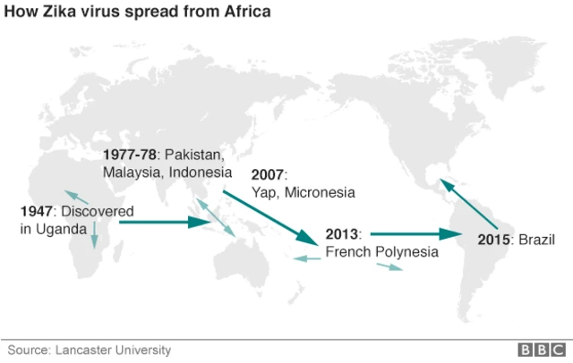 ジカウイルスが世界に広がった経路（英ランカスター大学調べ）