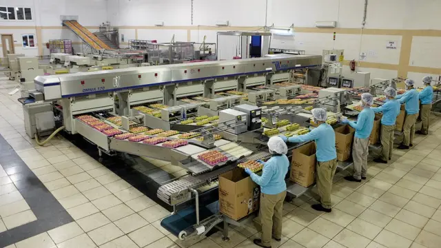 Keskinoğlu Tavukçuluk