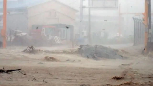 거대한 파도로 바다 잔해물이 포항의 한 도로까지 떠밀려왔다