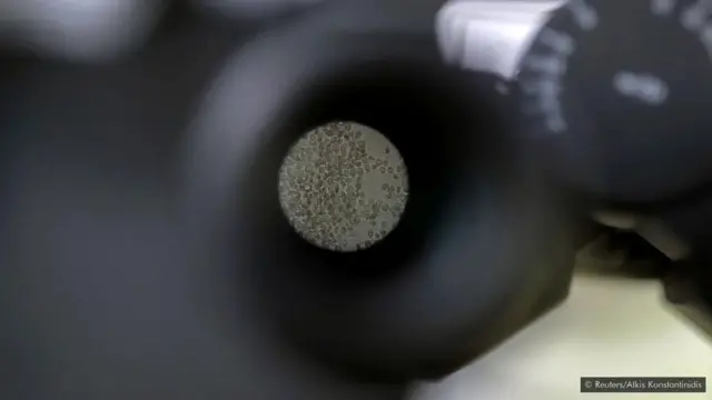 T Cell le wa ninu ara fun opo ọdun