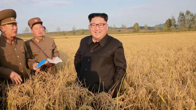 벼가 무르익어가는 들판 한가운데서 웃고 있는 김일성 북한 국무위원장