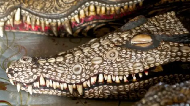 पापुआ न्यू गिनी