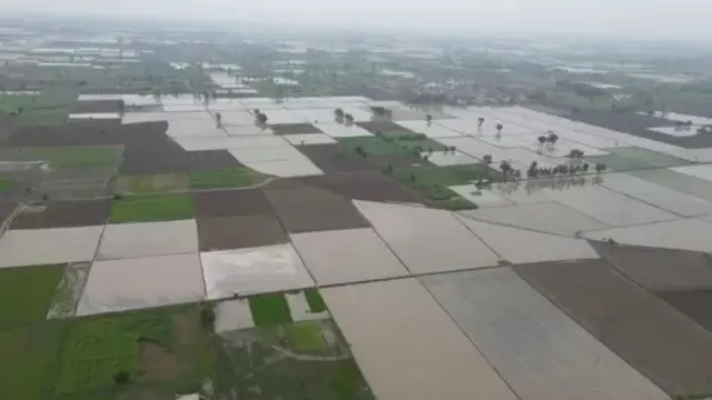 ਪਾਕਿਸਤਾਨੀ ਪੰਜਾਬ ਦੇ ਖੇਤ