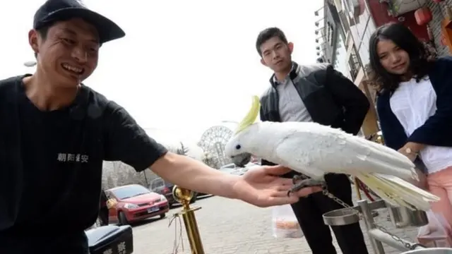 ચીનના લોકો