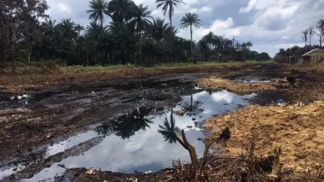 Di place wia di fire destroy