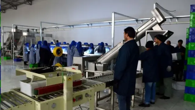افغانستان، تولیدات داخلی، خودکفایی