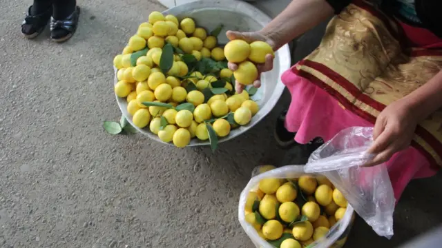 limon- Celilabad