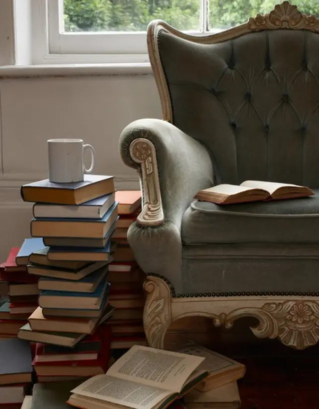 Libros y sillón