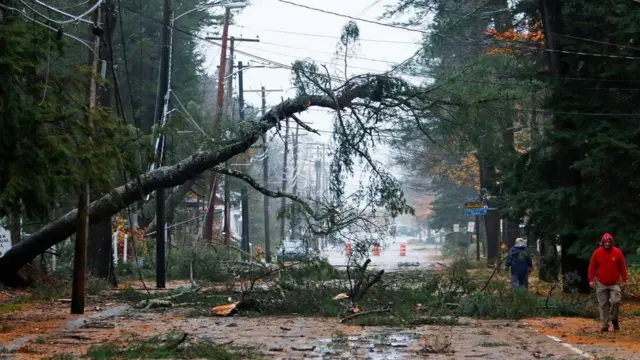 إعصار متفجر يضرب ولاية مين في الولايات المتحدة ويقتلع الأشجار