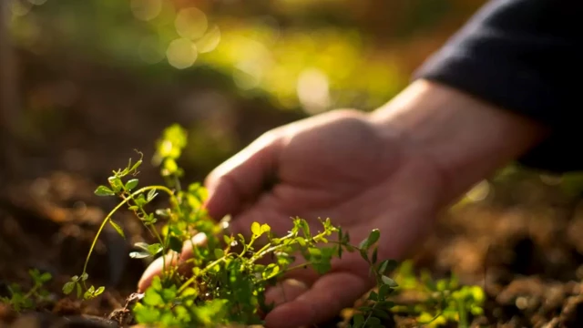 잉글랜드에선 더비셔 지역이 '자연 처방' 프로젝트에 처음으로 참여하게 된다