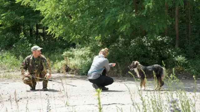 Волонтери намагаються поцілити в собаку транквілізатором