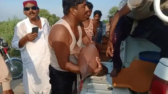 انڈس ڈولفن