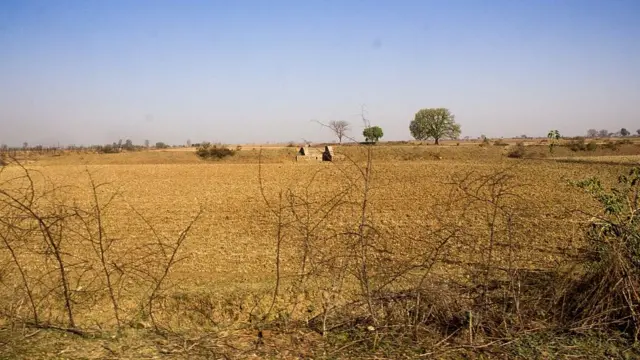 પ્રતીકાત્મક તસવીર