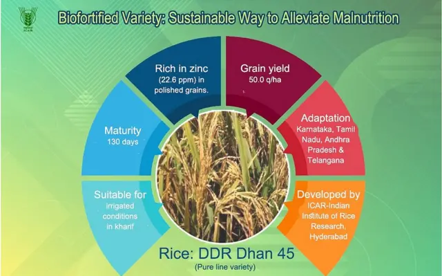 బయో ఫోర్టిఫైడ్ రైస్, మోదీ
