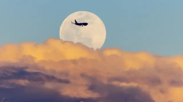 Санта-Ана у Каліфорнії