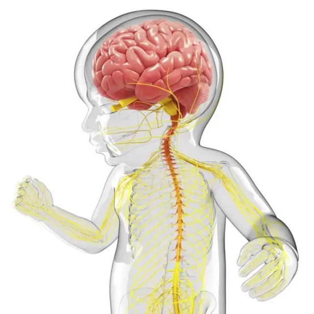 یونیسف وايي، د هوا د زهرجنو ذرو تنفس، د مغز سلولونو ته زیان رسوي او د ودې مخه یې نیسي.