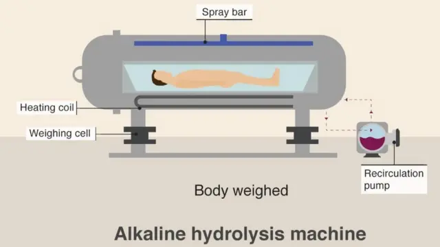 যুক্তরাষ্ট্র