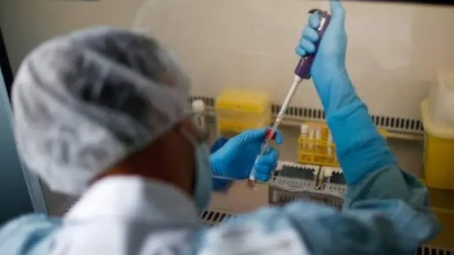 कोरोनाभाइरस