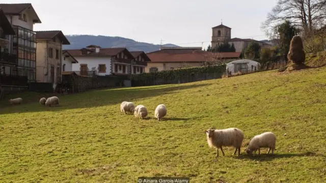 As línguas armênia e basca compartilham um grande númerojogos da betano para ganhar dinheiropalavras relacionadas à agricultura