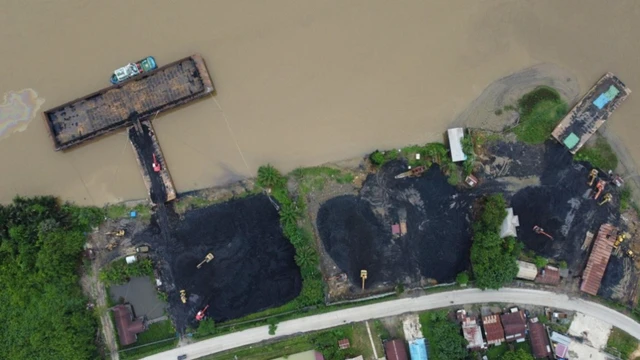 tambang batu bara ilegal