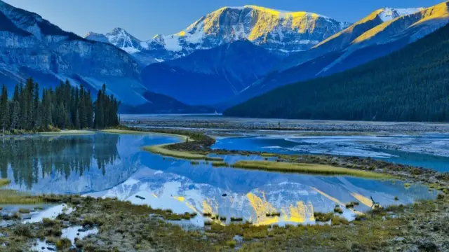 జీవ వైవిధ్యం